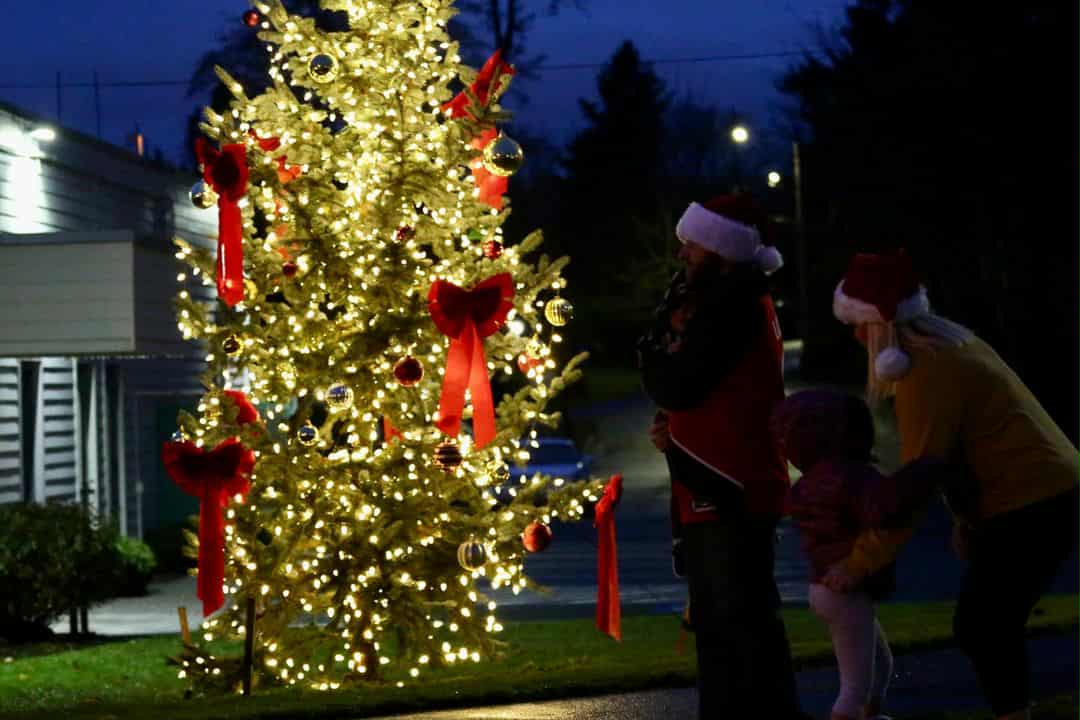 Gladstone Community Christmas Tree