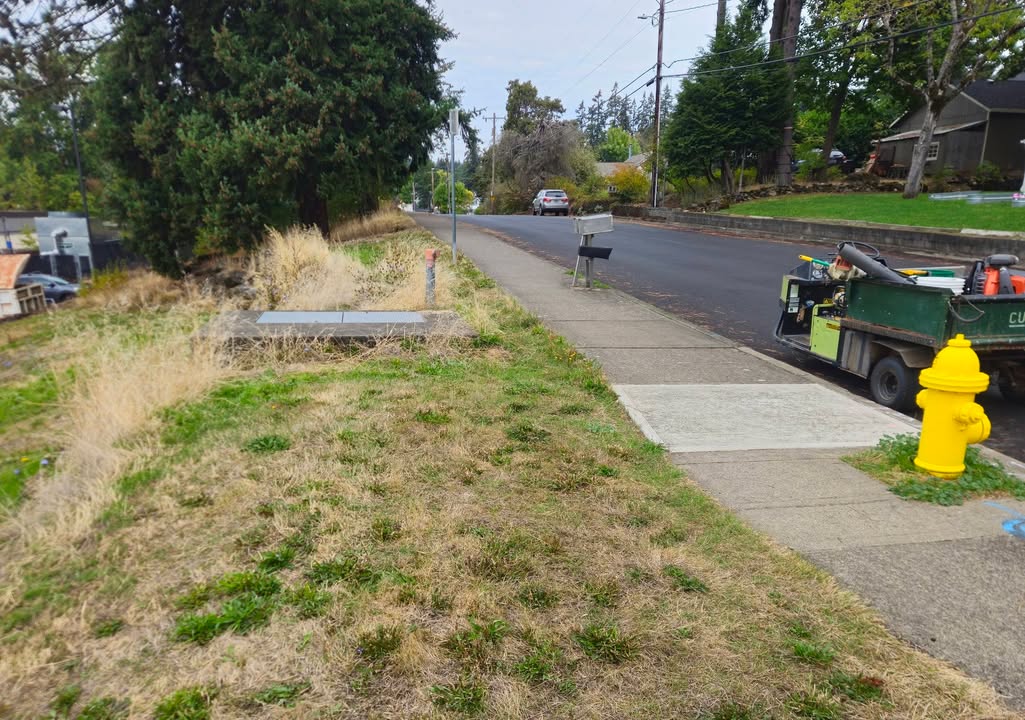 Behind Gladstone High School is quite the project.