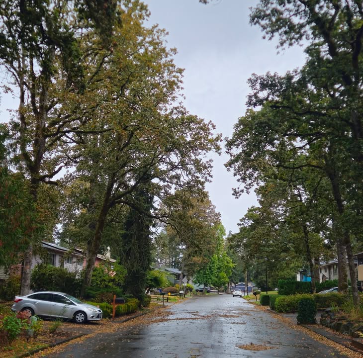 In Gladstone, we know it’s officially fall when the leaves cover Oakridge!