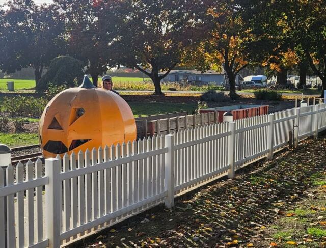 With Halloween quickly approaching, and with Gladstone having no pumpkin patches of its own,…