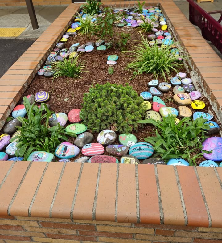 Our schools really are full of life!